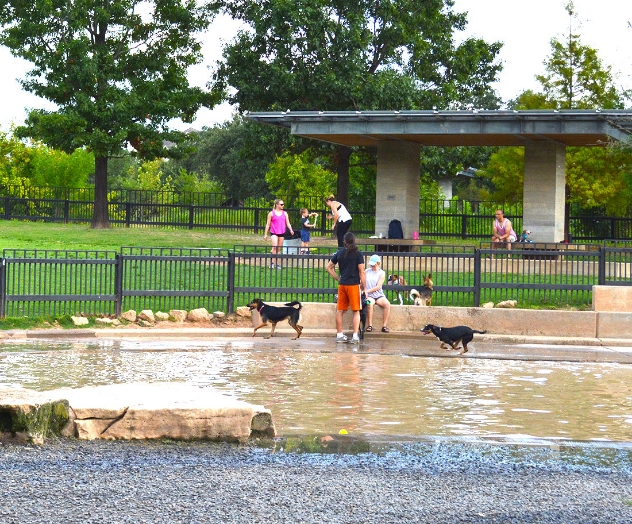 Johnny Steele Dog Park