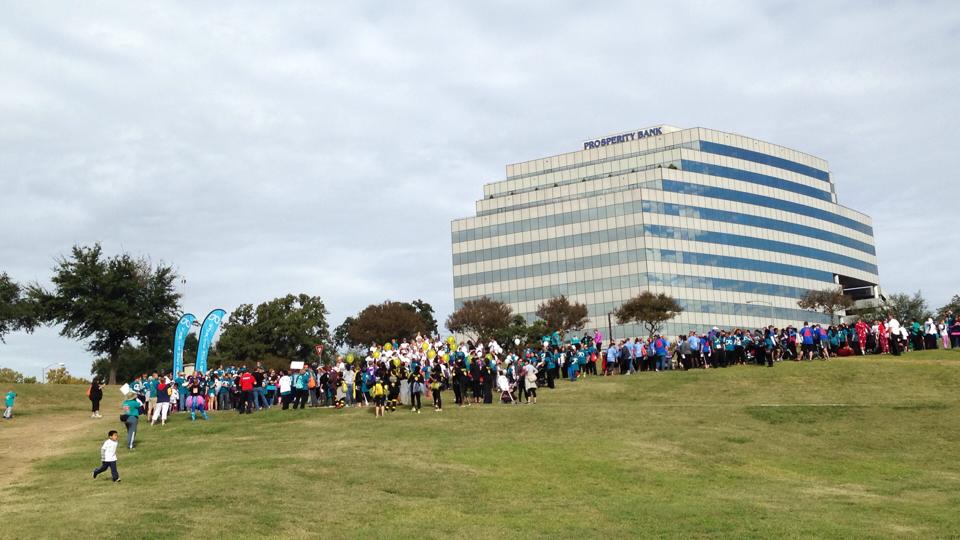 Image Lung Love Walk Houston