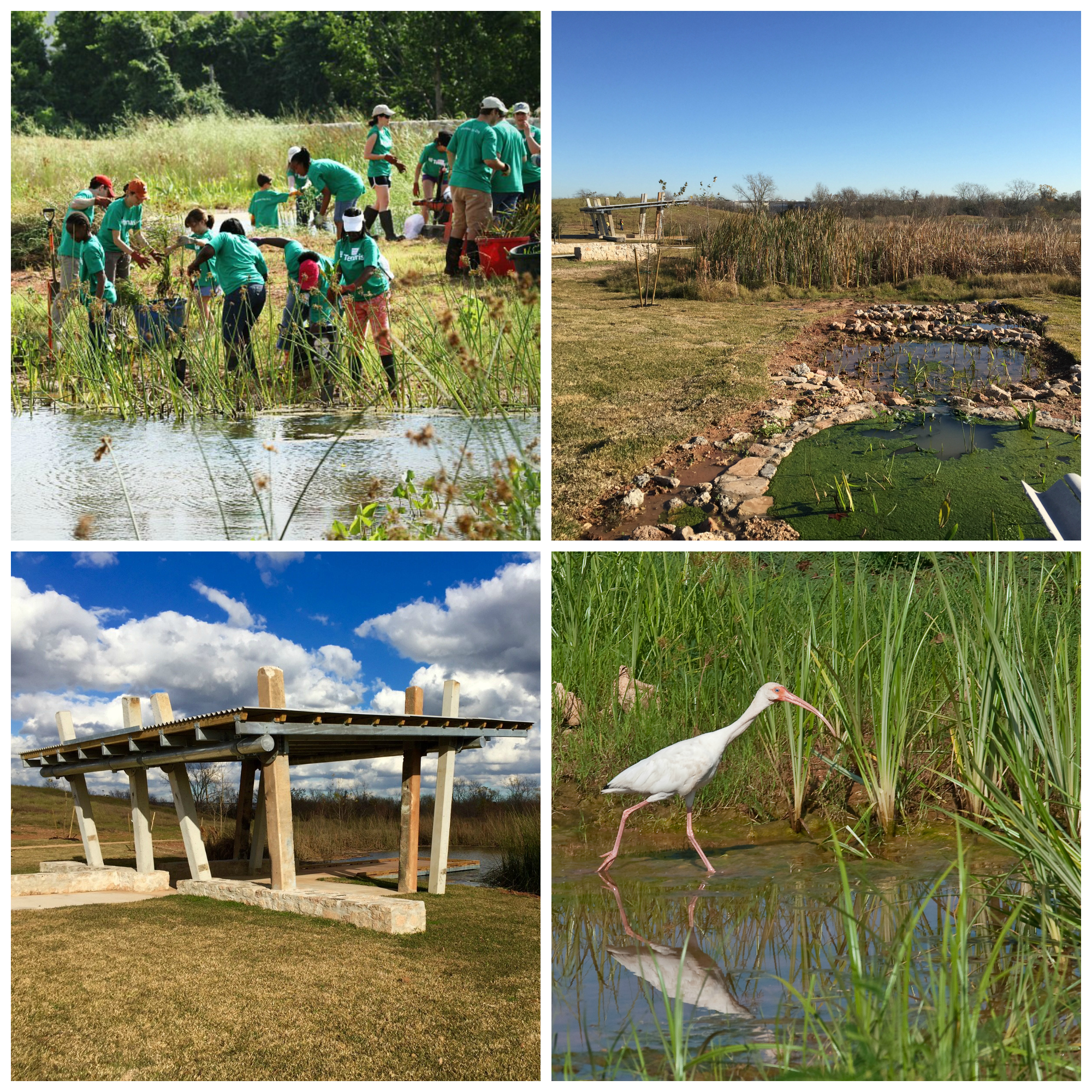 Image Buffalo Bend Nature Park Grand Opening