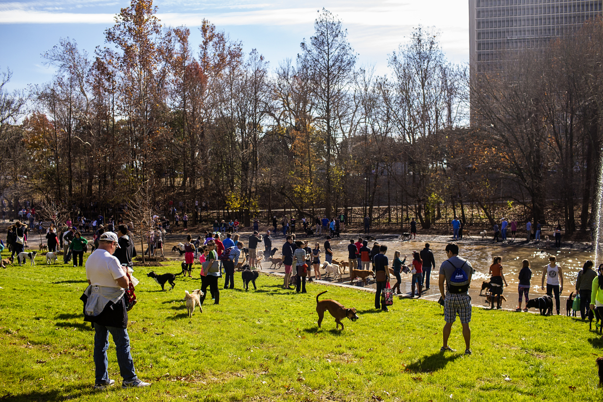 Image Johnny Steele Dog Park Closure