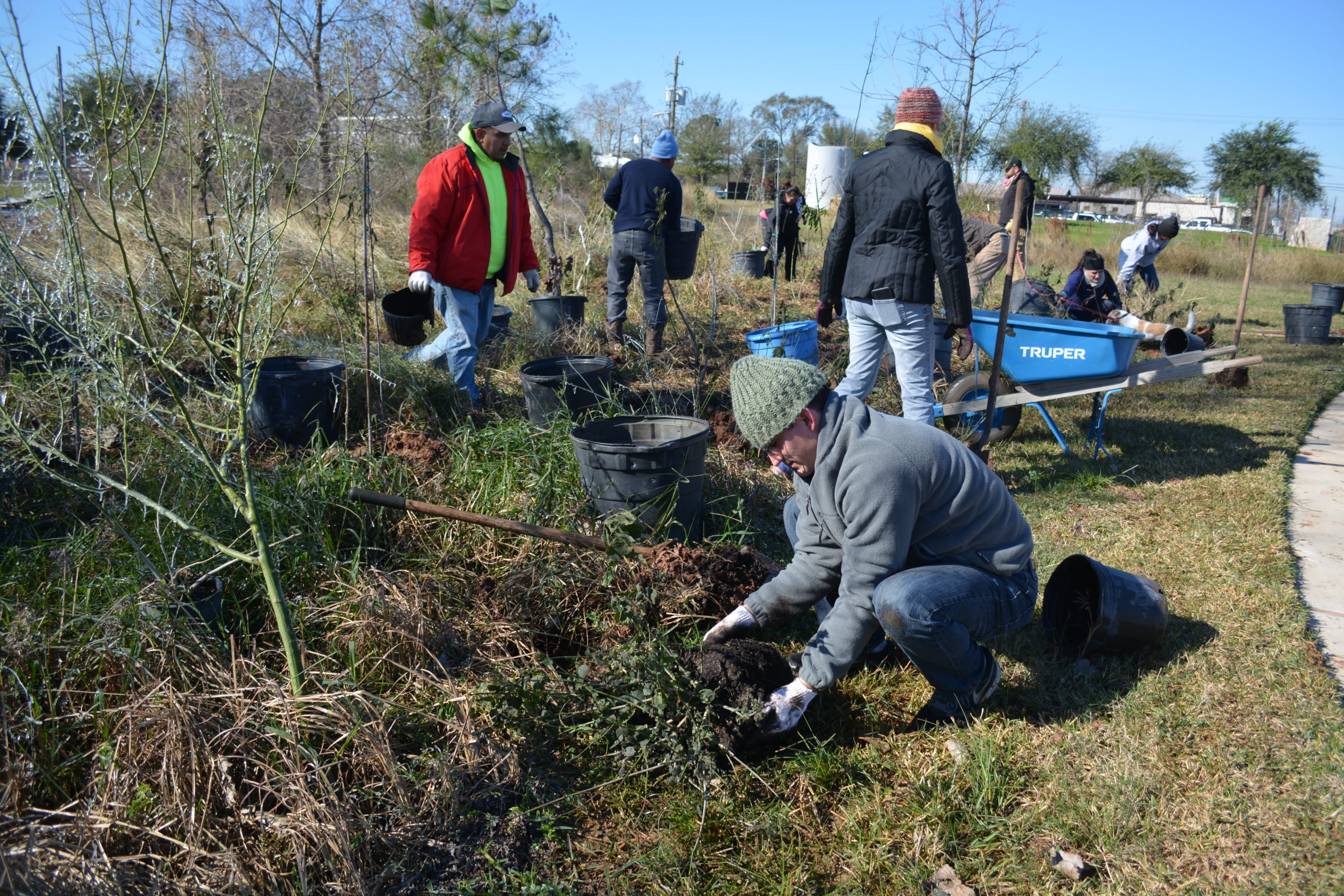 Image Community Tree Planting Volunteering