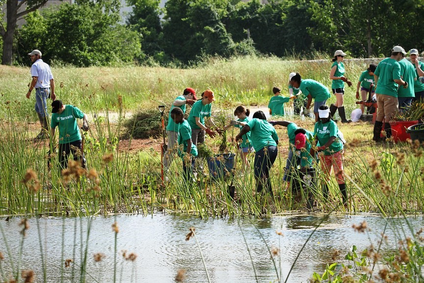 Image POSTPONED: Planting on the Parkway