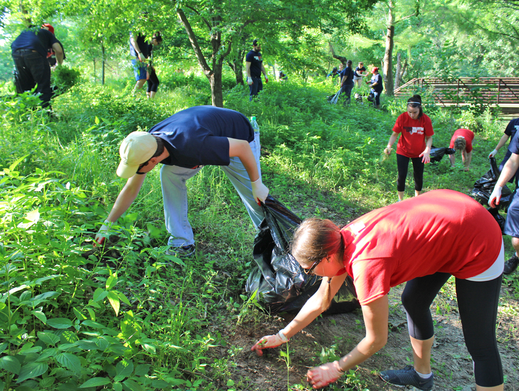 Image Monthly Volunteer Day