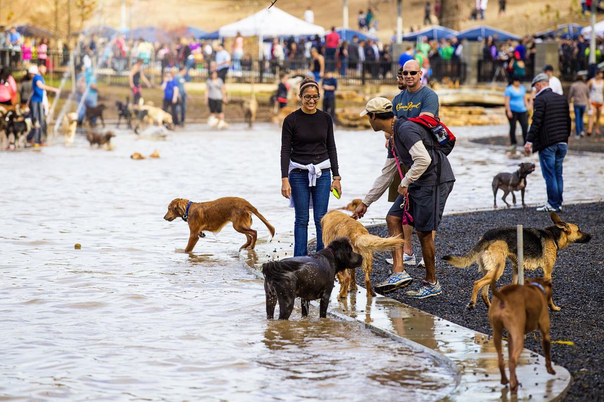 Image Johnny Steele Dog Park Closure