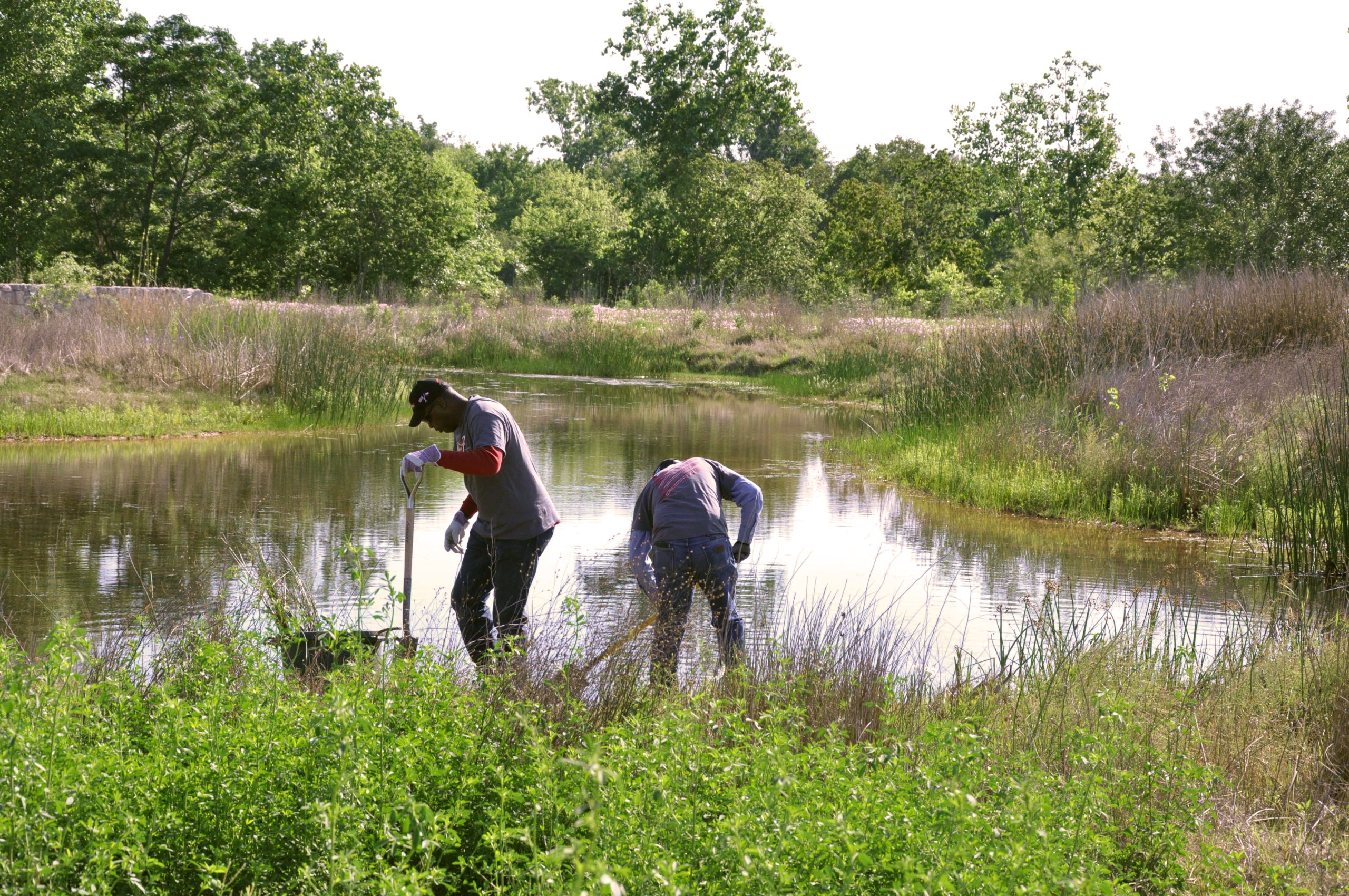 Image Volunteer Workday