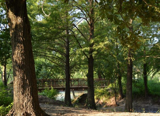 Tapley Tributary