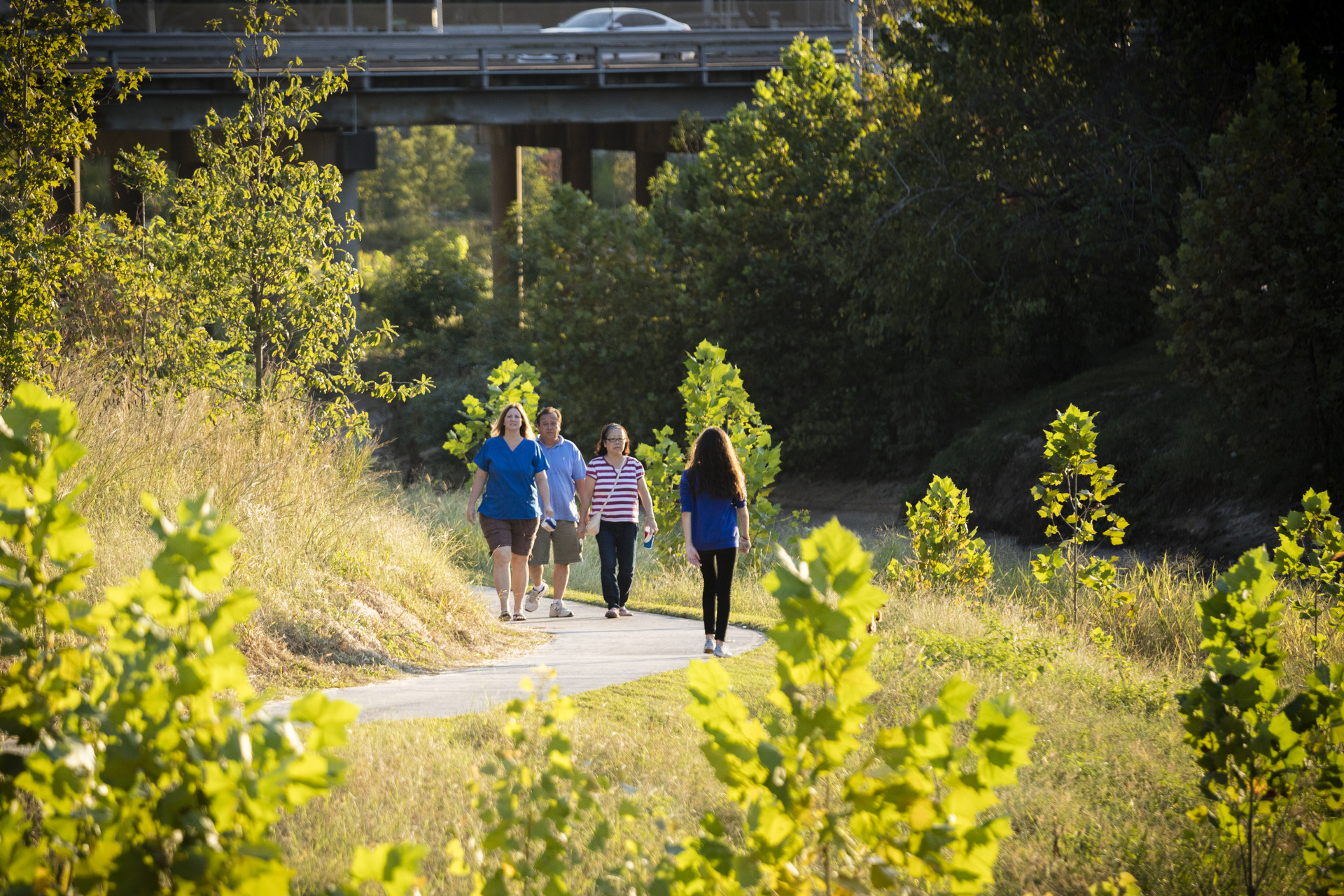 Image Nature Walking Tour