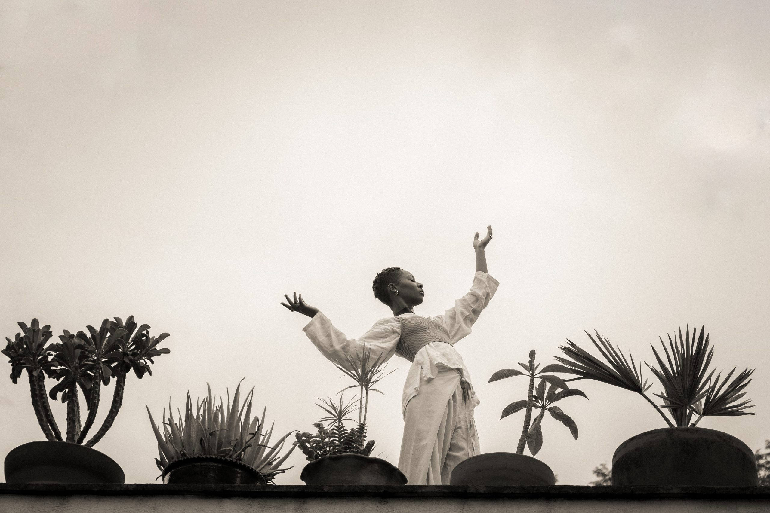 Image Sensorium: Sounds of Revival by Frewuhn