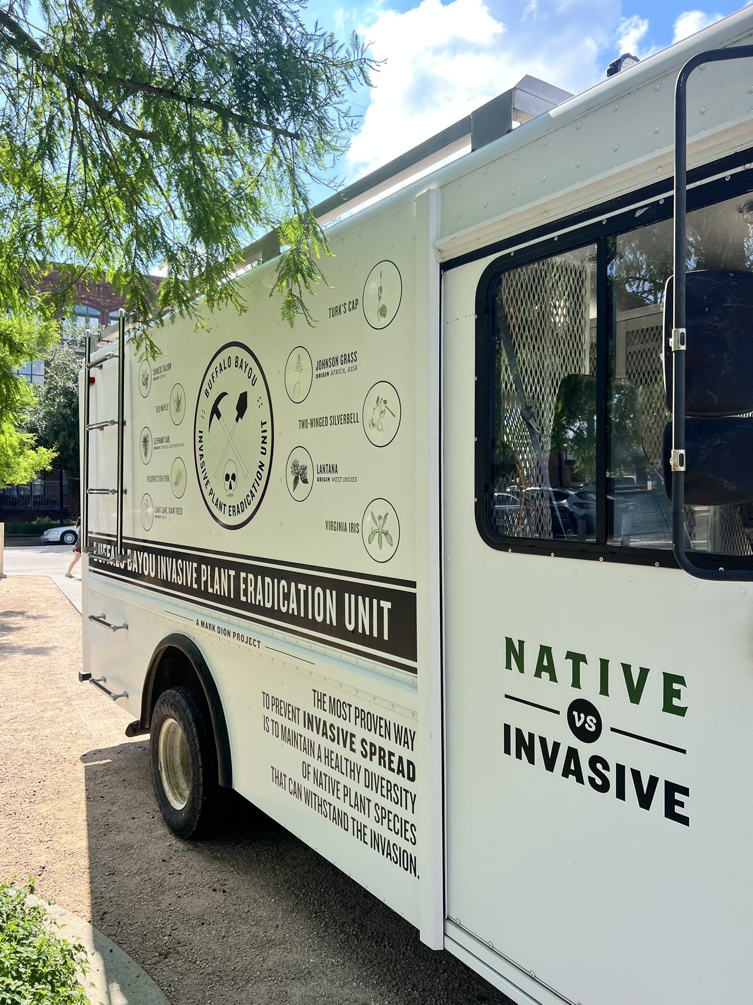 Image Summer Species: Invasive Plant Eradication Unit Pop-Up